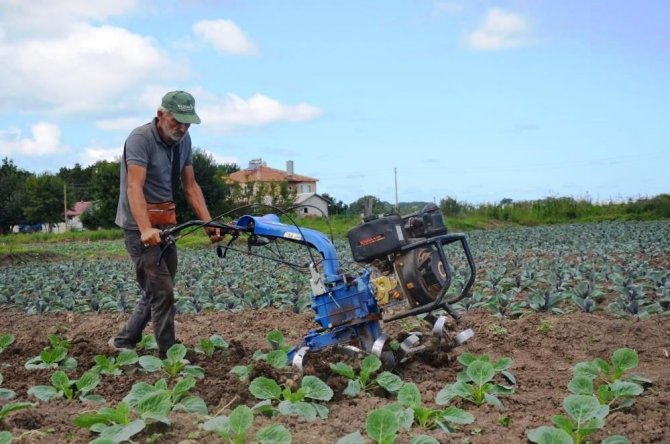 Türkiye’nin Meyvesi, Sebzesi Ve Yem Bitkisi Samsun’dan