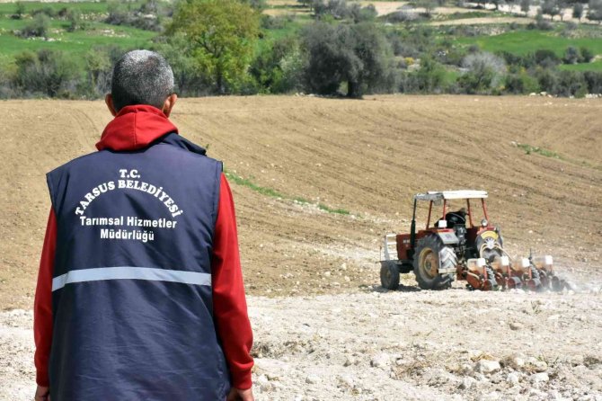 Tarsus’ta Yerli Ve Milli Yağlık Ayçiçek Tohumu Ekildi