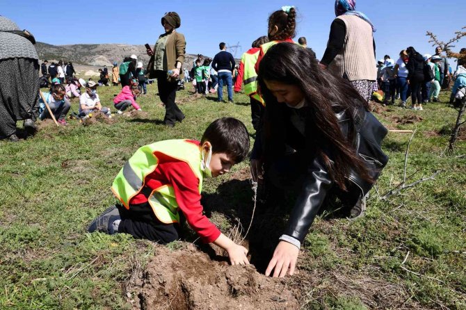 Öğrenciler Lavantaları Toprakla Buluşturdu