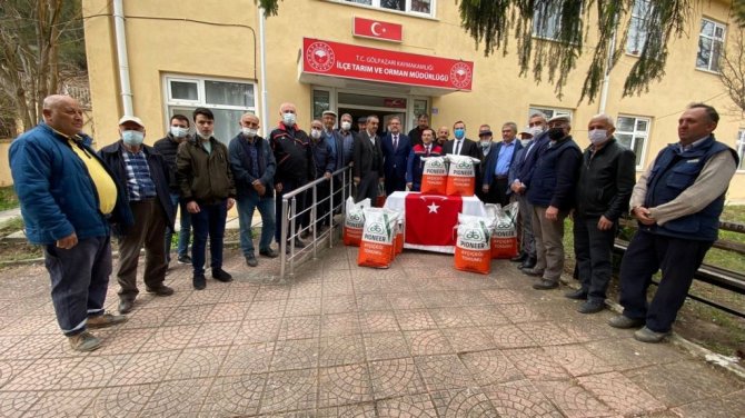 Çiftçileri 3 Bin Dekar Alanda Ekimi Yapılabilecek Ayçiçeği Tohumu Dağıtıldı