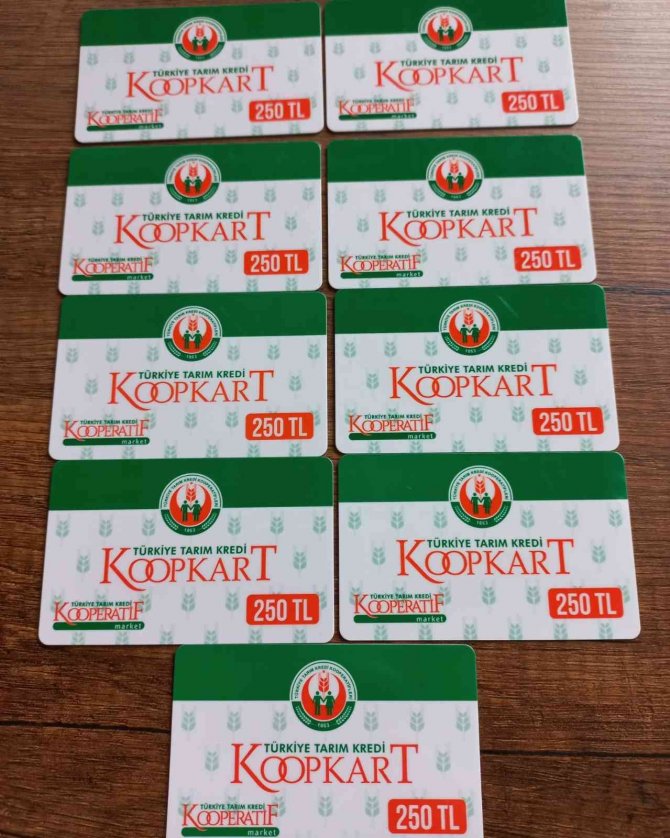 Alaplı Anneler Derneği Gıda Paketlerini İhtiyaç Sahiplerine Ulaştırdı