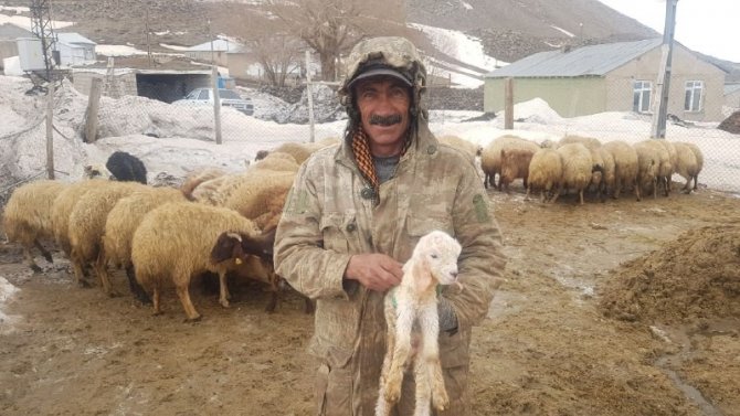 Adilcevaz’da Bir Yanda Kış Bir Yanda Bahar
