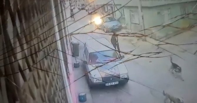 Bursa’da Yolda Yürüyen Genç Kız Köpeğin Saldırısına Uğradı