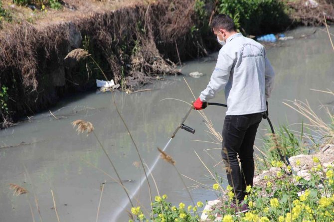 Dsö Yeni Pandemi İçin Uyardı, Vatandaşlara Da Görev Düşüyor