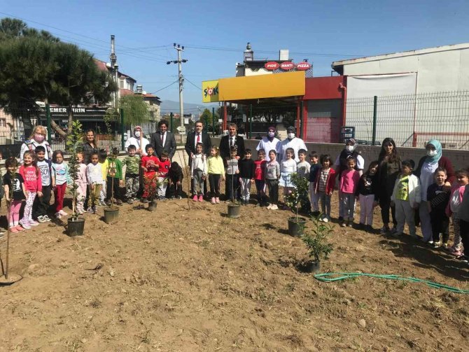 Burhaniye’ De Kaymakam Memiş, Anaokulu Öğrencileri İle Fidan Dikti