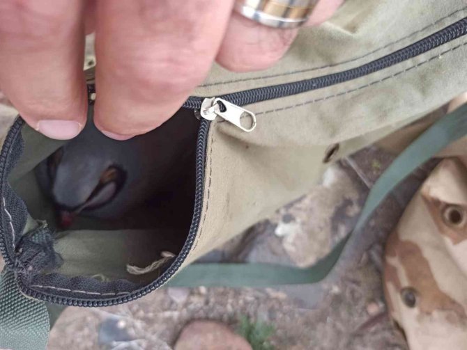Iğdır’da Ses Cihazıyla Avlanan Keklikler Tekrar Doğaya Bırakıldı