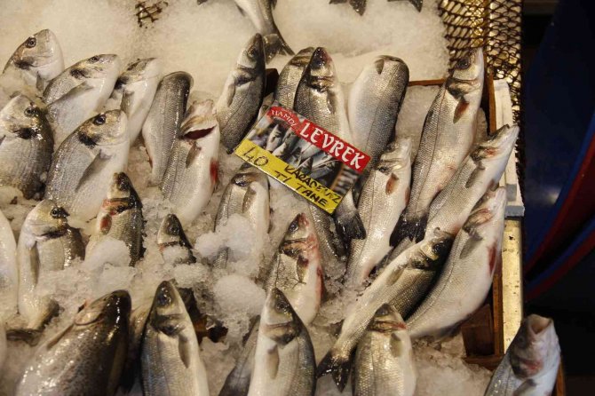 Avlanma Yasağı Öncesinde, Tezgahta Balık Fiyatları