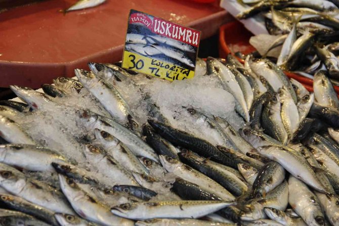 Avlanma Yasağı Öncesinde, Tezgahta Balık Fiyatları