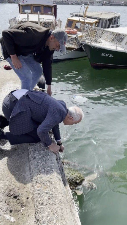 Ağa Takılan Caretta Carettayı Belediye Başkanı Kurtardı