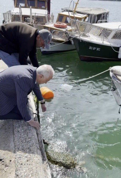 Ağa Takılan Caretta Carettayı Belediye Başkanı Kurtardı