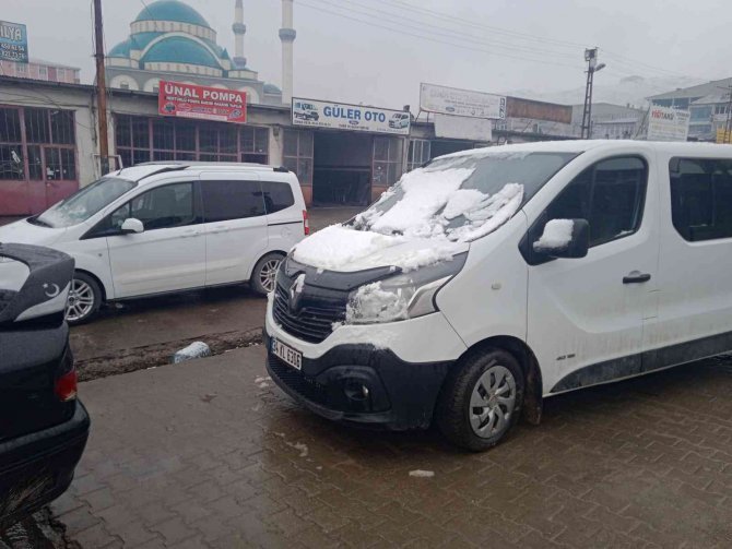 Özalp’ta Nisan Karı