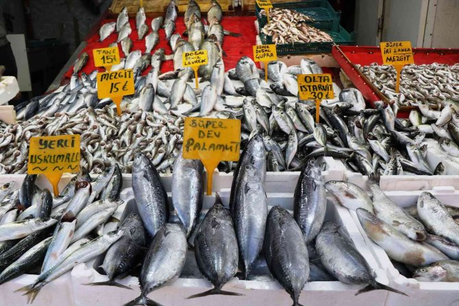 Sezonun Son Balıkları 15-30 Tl Arasında Tezgahlarda