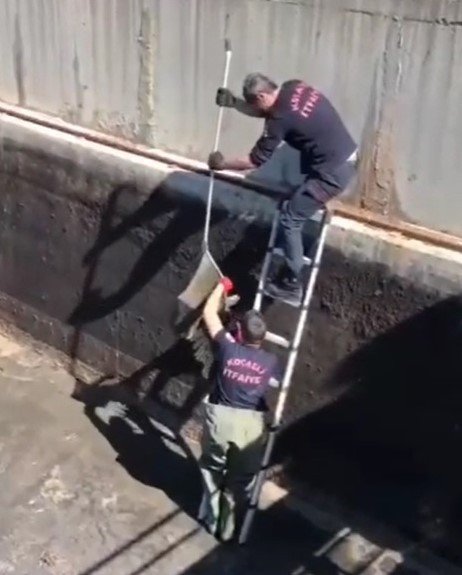 Çamura Saplanan Leyleği İtfaiye Ekipleri Kurtardı