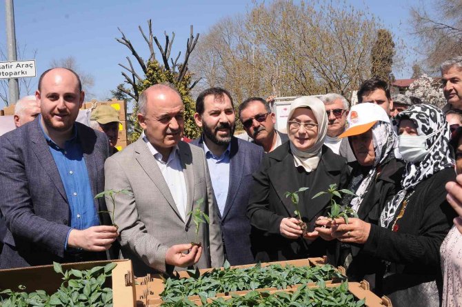 Yalova’nın Atıl Arazileri Projelerle Tarıma Kazandırılıyor