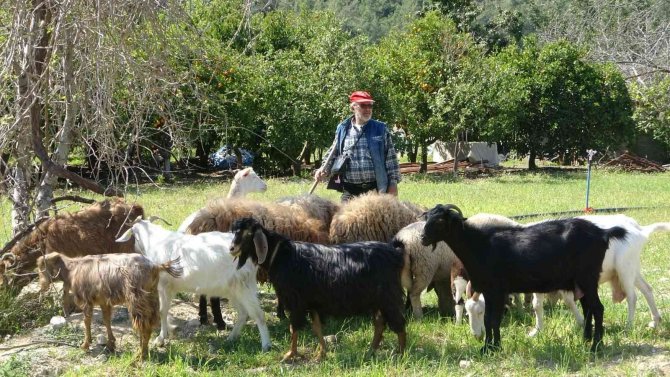 Kendilerini Savcı Ve Polis Olarak Tanıttıkları Yaşlı Çifti Jet Hızıyla 81 Bin Tl Dolandırdılar