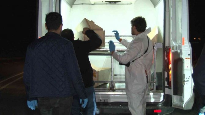 Arnavutköy’de Ormanlık Alanda 38 Günlük Ceset Bulundu