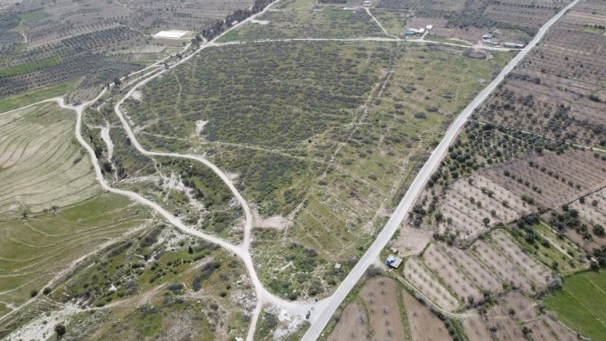 Buharkent Aydın’ın Jeotermal Sera Üssü Olacak