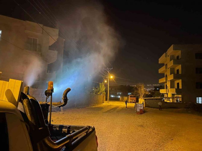 Cizre’de İlaçlama Çalışmaları Başlatıldı