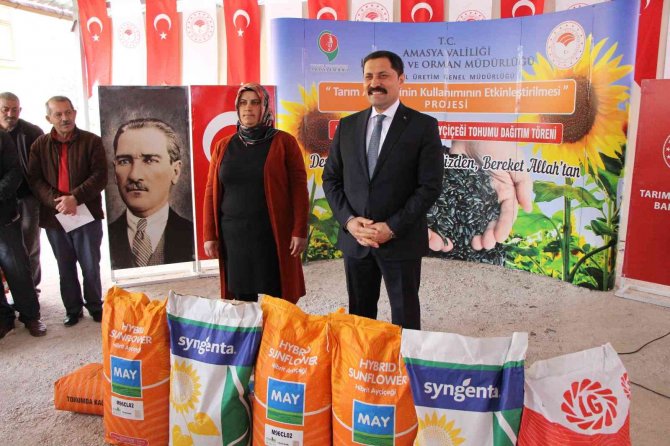 Amasya Valiliği Ayçiçeği Tohumu Desteğini Artırdı