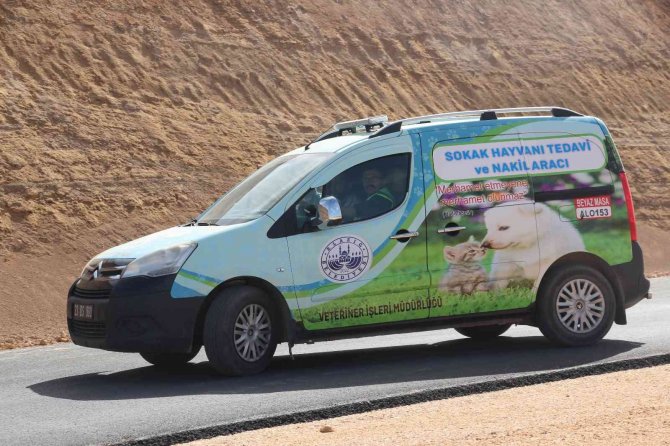 Can Dostlar İçin ‘Tedavi Ve Nakil Aracı’ Hizmete Girdi