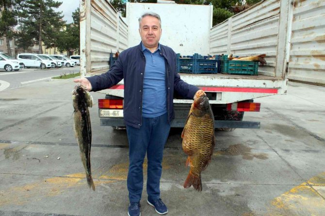 Kayseri’de 2 Buçuk Ton Kaçak Balık Ele Geçirildi