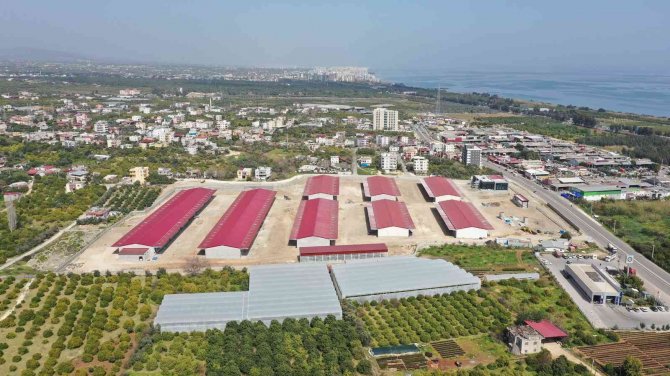 Erdemli Hal Tesisinin Yüzde 75’i Tamamlandı