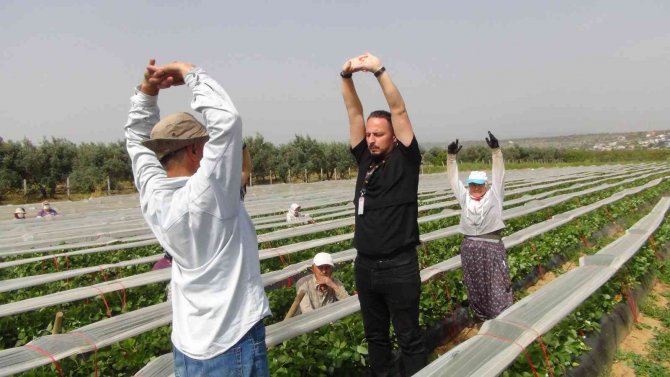 Fizyoterapist Eşliğinde Çilek Hasadı