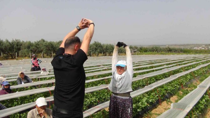 Fizyoterapist Eşliğinde Çilek Hasadı