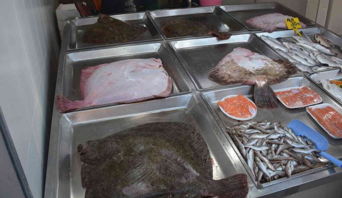 Sinop’ta Balıkçıların Ağlarına Dev Kalkan Balıkları Takıldı