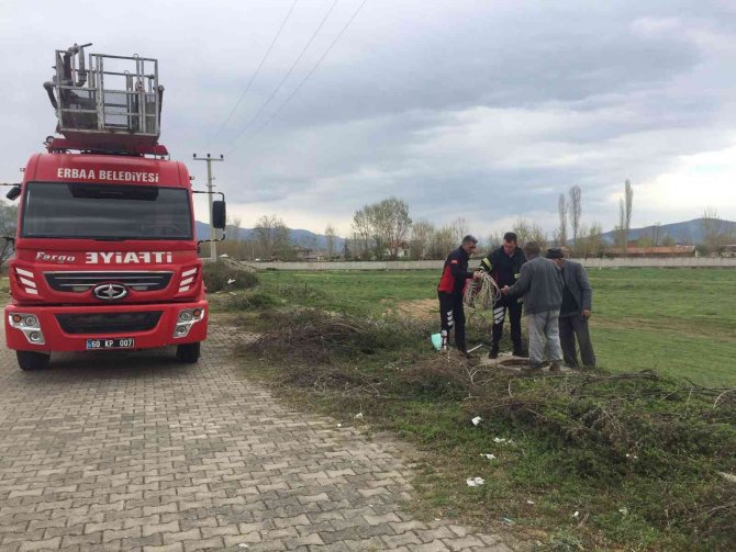 Rögara Düşen Manda Yavrusunu İtfaiye Ekipleri Kurtardı