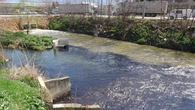 Ci̇mer’i De Kandırdılar...ölüm Saçan Dereyi "Tertemiz Akıyor" Diye Raporladılar