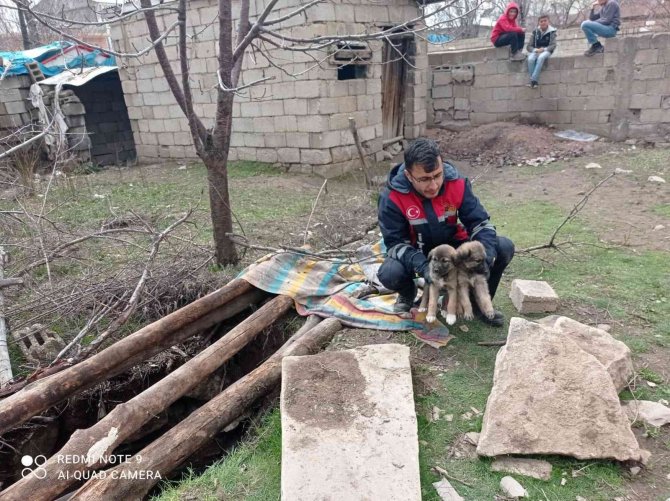 13 Metre Derinlikteki Çukura Düşen Yavru Köpekler İtfaiye Tarafından Kurtarıldı