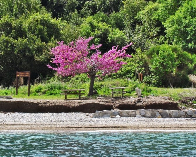 Milli Park’ta Yangın Tehdidine Karşı Ortak Bildiri