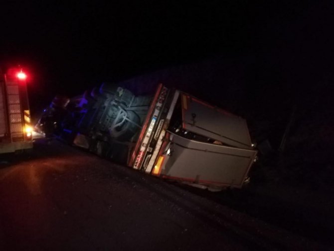 Sebze Yüklü Tır Devrildi, Sürücüsü Yaralandı