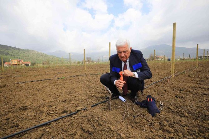 Başkan Gürün, Fethiye’deki Kırsal Kalkınma Projelerini İnceledi