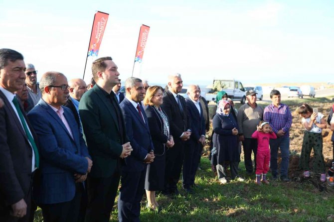 Gaziantep’te 75 Bin Zeytin Fidanının Dağıtımına Başlandı