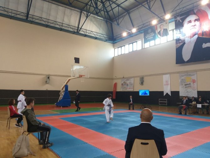 Analig Yıldızlar Karete Grup Müsabakaları Tamamlandı