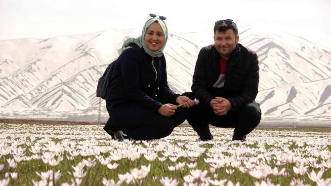 Yüksekova Ovası’nda Kardelen Cümbüşü