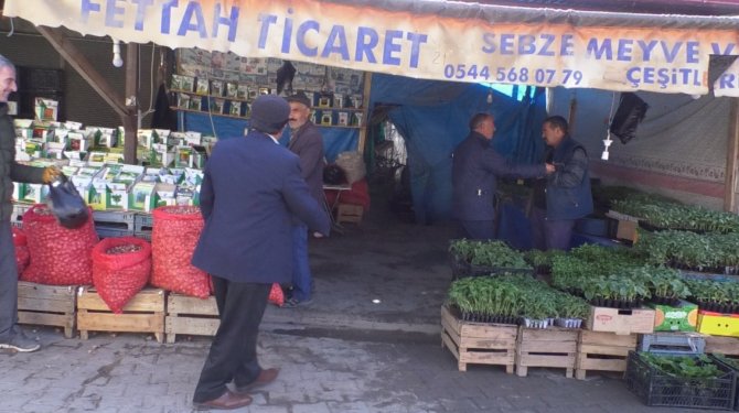 Iğdır’da Sebze Fidesi Satışları Başladı