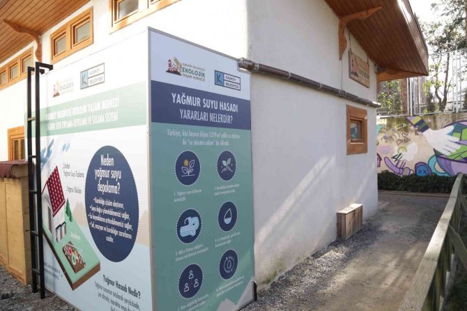 Kadıköy’de Hasat Zamanı: “Yağmur Topla Bizim İ̇çin”