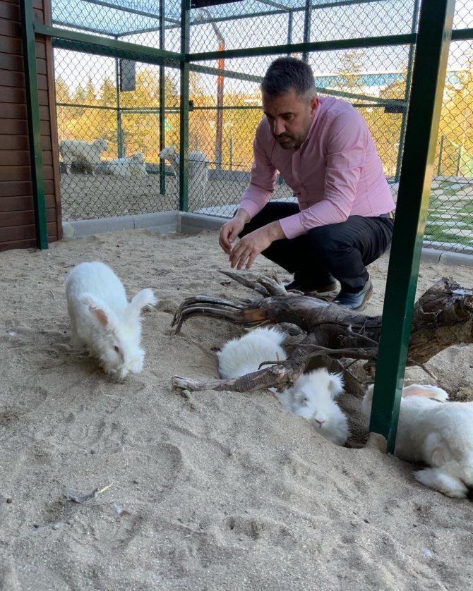 Endemik Vadi’de Keçi Yavruları Dünyaya Gözlerini Açtı