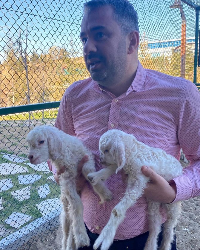 Endemik Vadi’de Keçi Yavruları Dünyaya Gözlerini Açtı