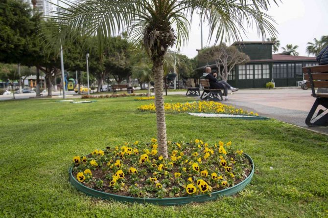 Mersin’de 3 Ayda 197 Bin Bitki Toprakla Buluşturuldu
