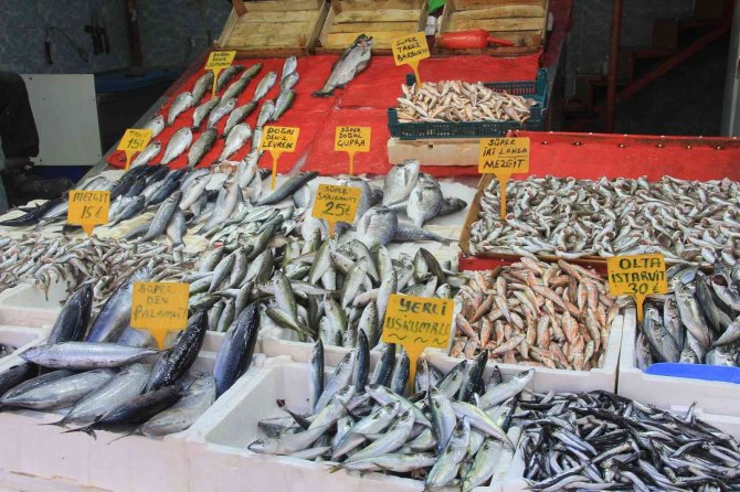 Balıkçılar Uyarıyor: 