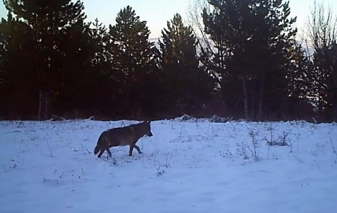 Tabiat Parklarına Yoğun İlgi