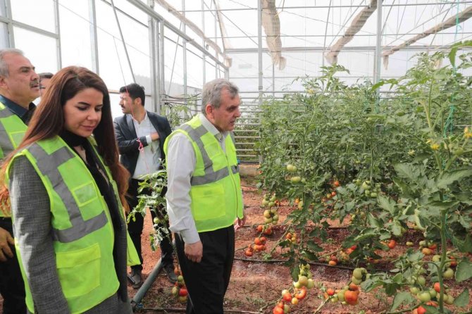 Şanlıurfa’da Belediye Serası İhtiyaç Sahiplerinin Yüzünü Güldürecek