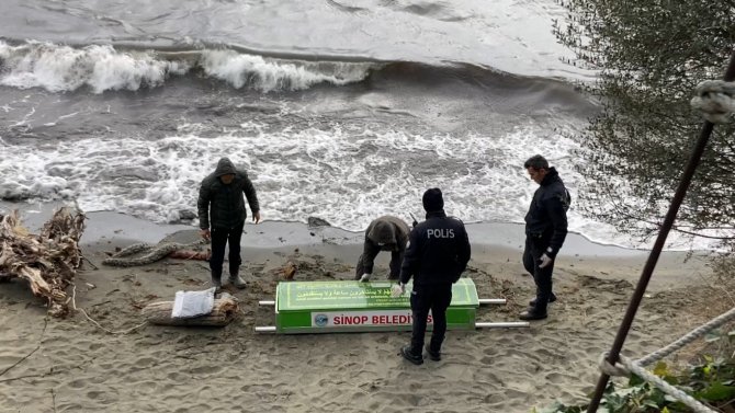 Sinop’ta Denizde Erkek Cesedi Bulundu
