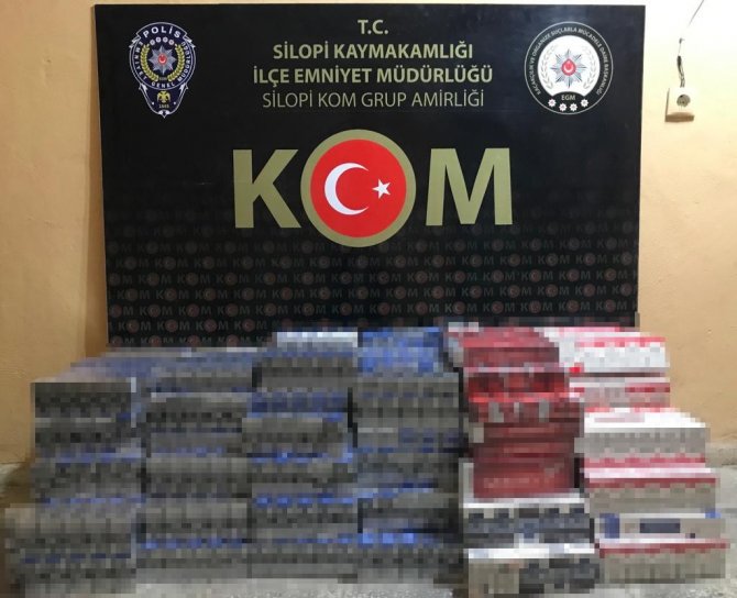 Şırnak’ta Kaçakçılık Ve Asayiş Operasyonu: 54 Gözaltı