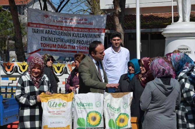 Yerli Hibrit Ayçiçeği Tohumu Dağıtıldı