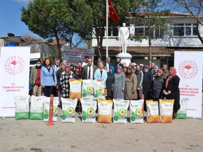 Yerli Hibrit Ayçiçeği Tohumu Dağıtıldı